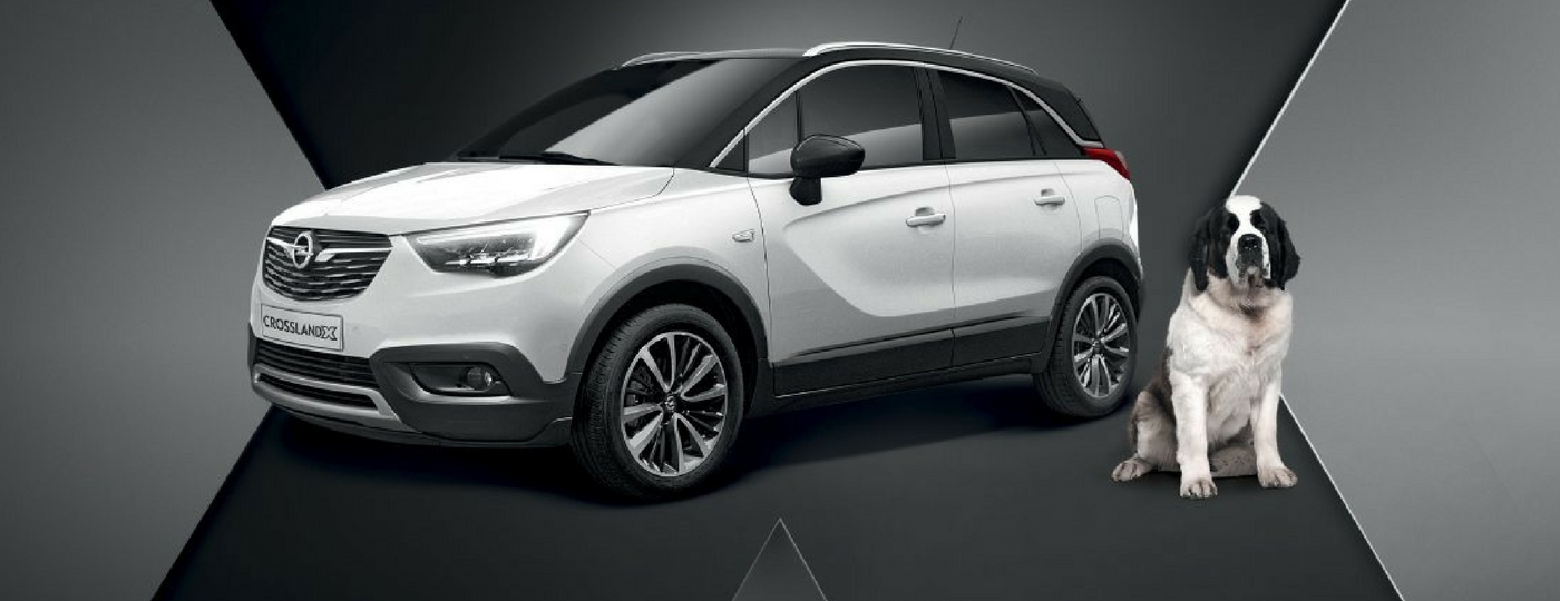 Nuovo CROSSLAND X